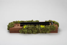 Charger l&#39;image dans la galerie, SPINDLE featuring Sakamoto / Moss series
